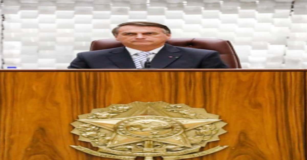 Bolsonaro - Foto Reprodução do Twitter