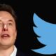 Elon Musk - Foto Reprodução do Twitter