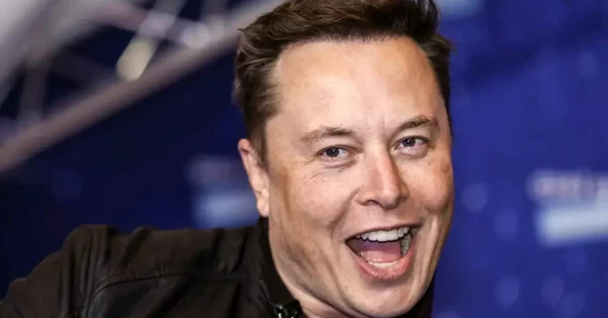 Elon Musk famosos abandonam rede social - Foto Reprodução do Twitter