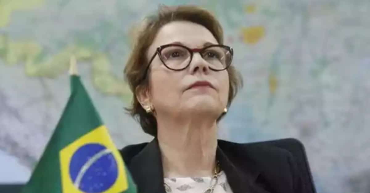 Senadora Tereza Cristina- Foto Reprodução do Twitter