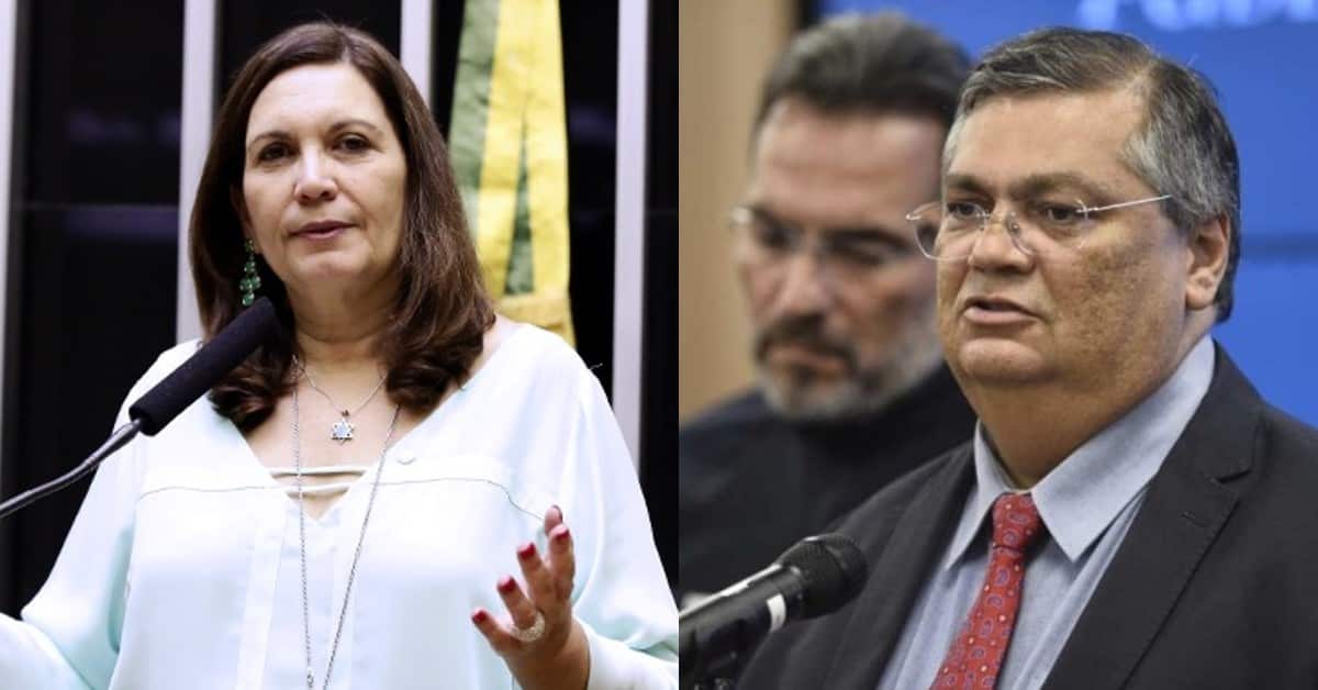Bia Kicis e Flávio Dino - Foto Reprodução do Twitter