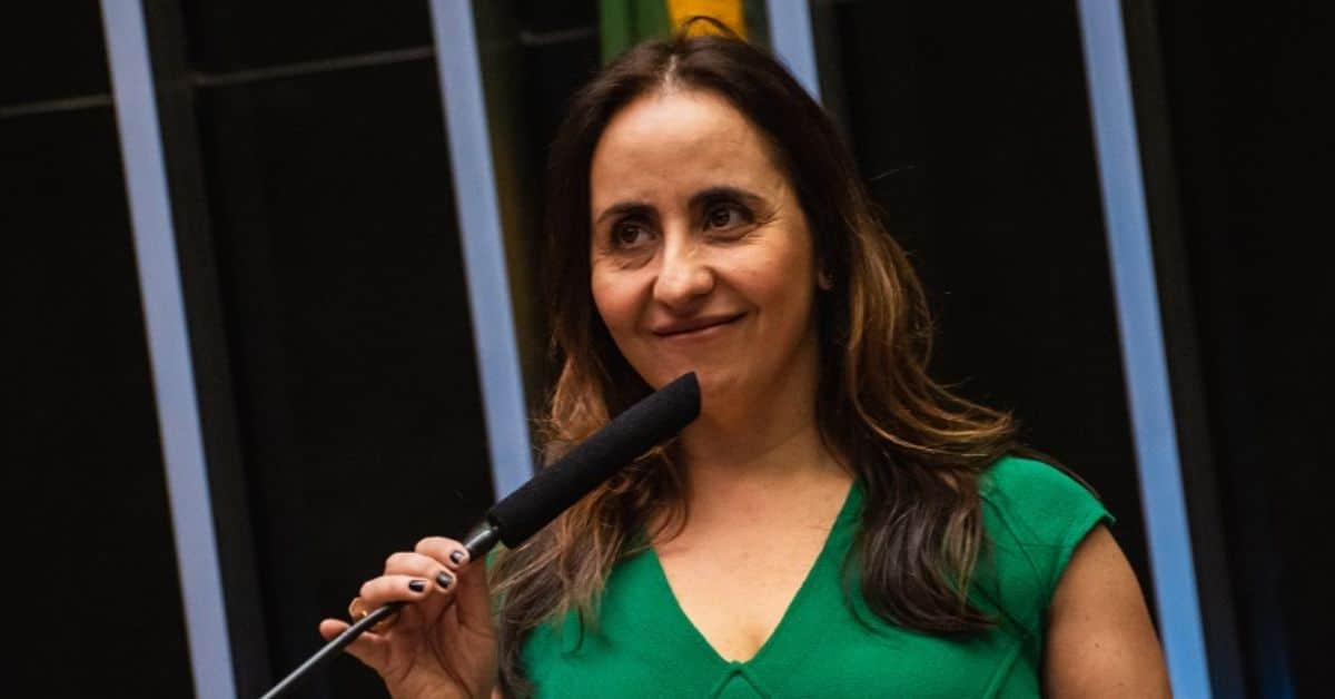 Deputada Adriana Ventura - Foto Reprodução do Twitter