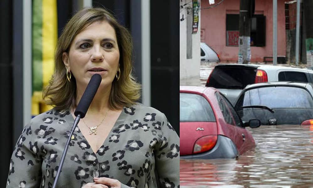 Projeto antienchente japonês pode acabar com as enchentes no Brasil: Deputada Rosana Valle traz a solução inovadora!