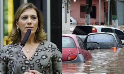Projeto antienchente japonês pode acabar com as enchentes no Brasil: Deputada Rosana Valle traz a solução inovadora!