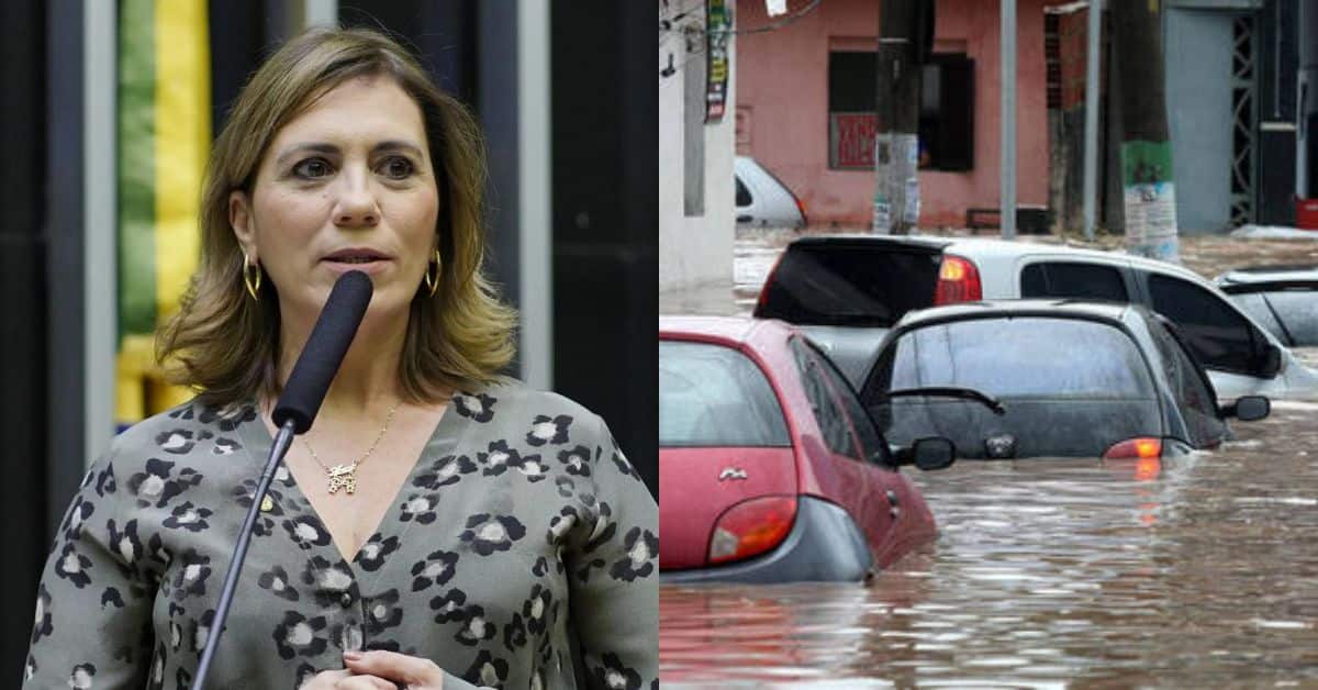 Projeto antienchente japonês pode acabar com as enchentes no Brasil: Deputada Rosana Valle traz a solução inovadora!