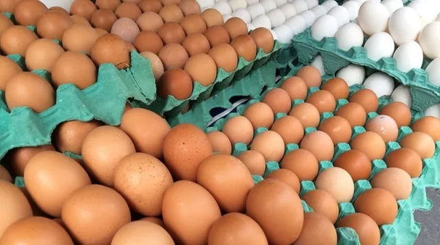 Preço dos ovos bate recordes históricos e assusta consumidores