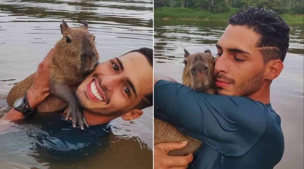 Capivara Filó retorna ao lar do influenciador Agenor Tupinambá