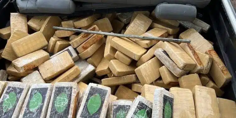 Escândalo na PRF: Agente em SP Preso com Mais de 300 kg de Cocaína e Crack