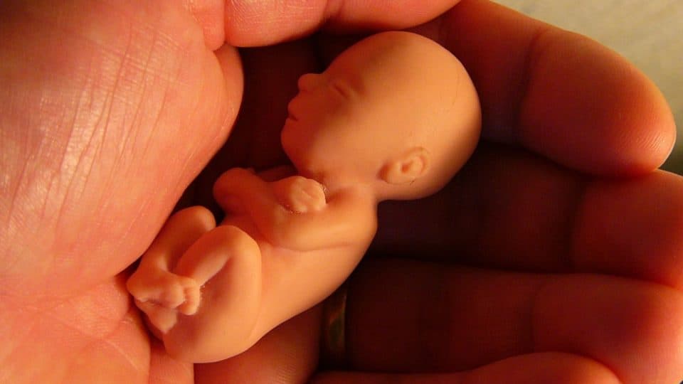 PSOL aciona STF para derrubar lei anti-aborto em Goiás