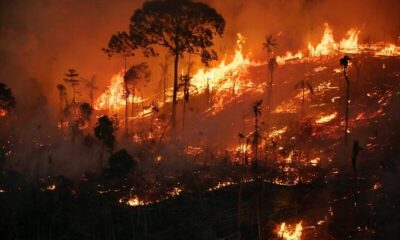 Sob governo Lula, Amazônia tem semestre com mais incêndios desde 2001