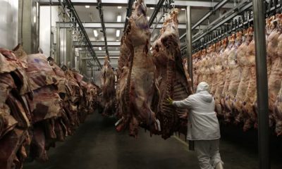 Brasil perde US$ 700 milhões em exportações de carne entre agosto e outubro