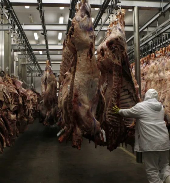 Brasil perde US$ 700 milhões em exportações de carne entre agosto e outubro