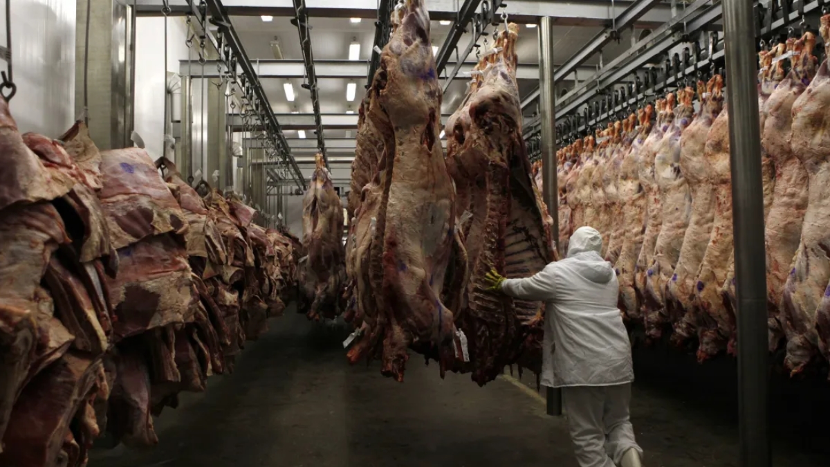 Brasil perde US$ 700 milhões em exportações de carne entre agosto e outubro 53 Brasil perde US$ 700 milhões em exportações de carne entre agosto e outubro